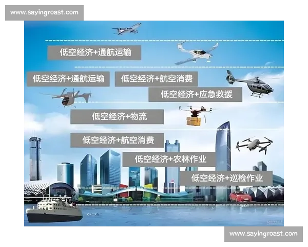 以发展联盟为核心推动区域经济一体化与可持续发展路径探讨