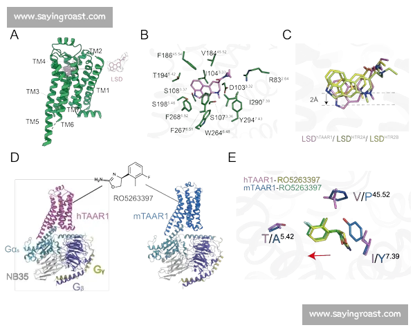 物理伤害核心机制解析与提升策略详解